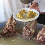 قیمت کله‌پاچه عجیب‌تر شد/احمدیان‌فر: کله‌پاچه دیگر غذای فقرا نیست