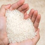 برنج هندی ارزان شد/ برنج ایرانی در راه کاهش