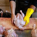 قیمت منطقی هرکیلو مرغ زنده ۱۵۰ هزارتومان است