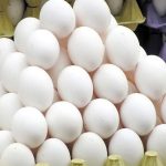 لغو ممنوعیت صادرات تخم‌مرغ با کاهش قیمت/ آزادسازی تدریجی تجارت در دستور کار دولت