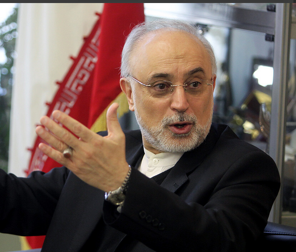 صالحی: مذاکره با آمریکا در مسیر درستی قرار دارد/ ضرورت پرهیز از تفرقه داخلی در سیاست خارجی