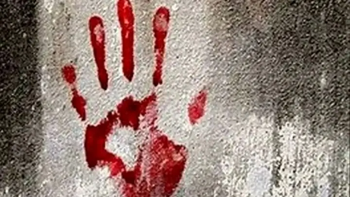 تسویه حساب خونین مرد کابینت‌ساز با زن کوهنورد