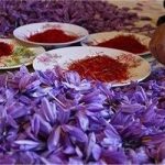 قیمت جدید زعفران اعلام شد/ زعفران کیلویی چند؟