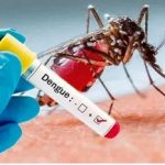 آژیر قرمز تب دنگی/ پشه آئدس آلوده در کدام استان‌ها شناسایی شده است؟