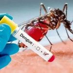 هشدار وزارت بهداشت درباره خطر گسترش تب دنگی/ استقرار پشه «آئدس» در این نقاط کشور