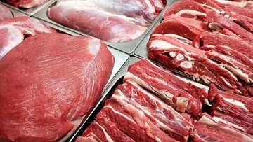 قیمت جدید دام‌زنده اعلام شد/ قیمت گوسفند و گوساله چه تغییری کرد؟