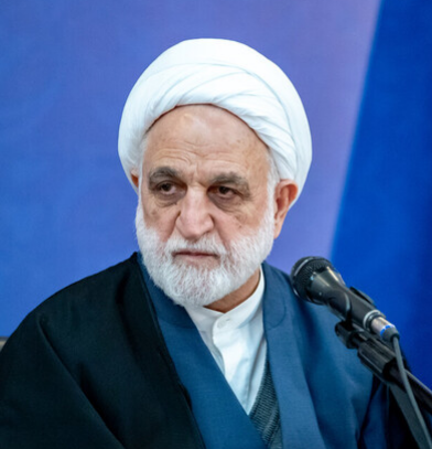 محسنی اژه‌ای: با شکست طرح کریدور جنوبی، نقشه شوم دشمن آمریکایی در نطفه خفه شد