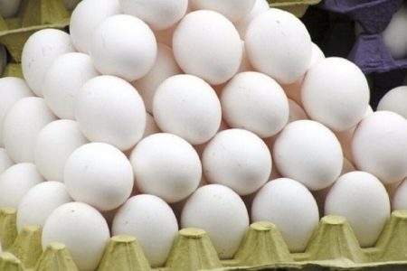 مشکلی در تامین و تولید تخم مرغ نداریم/پیش بینی تولید ۹۵ هزار تن تخم مرغ در مرداد