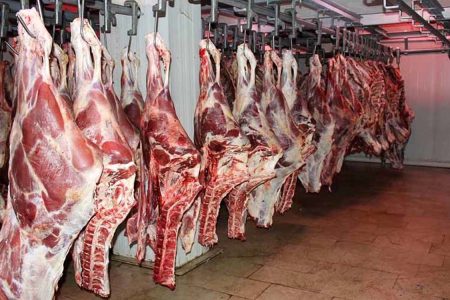 قیمت منطقی هر کیلو گوشت قرمز یک میلیون و ۵۰۰ هزار تومان