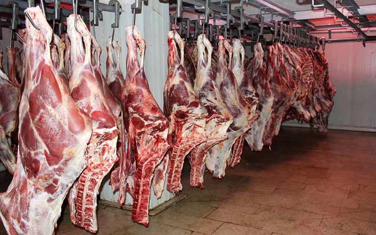 قیمت منطقی هر کیلو گوشت قرمز یک میلیون و ۵۰۰ هزار تومان