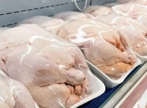 ماجرای ۲۰۰۰ تن مرغ تاریخ گذشته در تهران چه بود؟/ مصرف خانگی گوشت بوفالو مجاز است