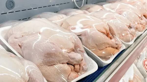 ماجرای ۲۰۰۰ تن مرغ تاریخ گذشته در تهران چه بود؟/ مصرف خانگی گوشت بوفالو مجاز است