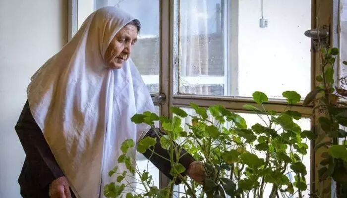 ۵۵ خانه حمایتی سالمندان در کشور فعالیت دارد/ ارائه خدمات در مجتمع‌های مسکونی
