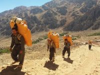 تحول در صنعت بیمه برای گذار از کولبری به اشتغال پایدار در استان کردستان و مناطق مرزی