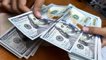 اولین واکنش وزیر اقتصاد به قیمت دلار/ مدنی‌زاده: خیالتان راحت؛ دولت برنامه حمایت از اقتصاد و معیشت مردم را دارد!