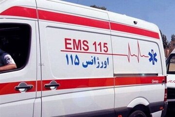 ۱۱۵ تهران قطع شد