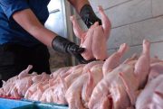 قیمت مرغ برای مصرف‌کننده ۱۵ هزار تومان تصویب شد