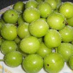 گوجه سبز 90 هزار تومان