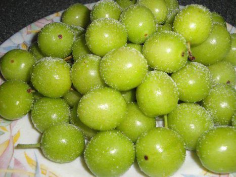 گوجه سبز 90 هزار تومان