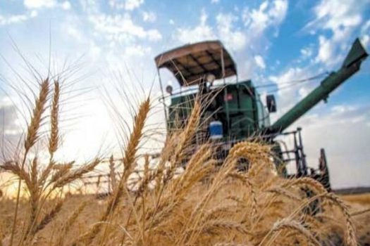 احتمال تغییر نرخ خرید تضمینی گندم قوت گرفت احتمال تغییر نرخ خرید تضمینی گندم قوت گرفت