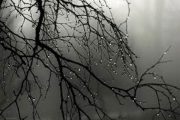 بارش ها از اوایل عصر چهارشنبه در ایلام آغاز می شود