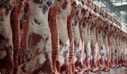 گوشت گوسفندی به ۱۴۰ هزار تومان رسید