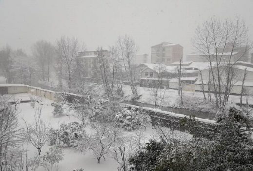 تداوم سرما در کشور/ بارش پراکنده در تهران تداوم سرما در کشور/ بارش پراکنده در تهران