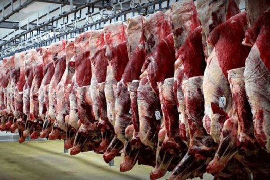 جزئیاتی از تنظیم بازار گوشت و مرغ ماه رمضان جزئیاتی از تنظیم بازار گوشت و مرغ ماه رمضان