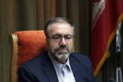 رئیس ستاد مرکزی اربعین: ۴۹ زائر در عراق فوت شده‌اند/ زائران زودتر بازگردند