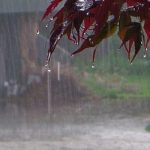 پیش‌بینی بارش باران برای اغلب مناطق کشور