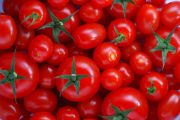 دلیل افزایش دو برابری قیمت گوجه فرنگی