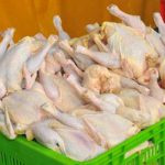قیمت نهایی مرغ چند است!؟