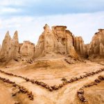 کارشناسان میراث راهی جزیره قشم شدند