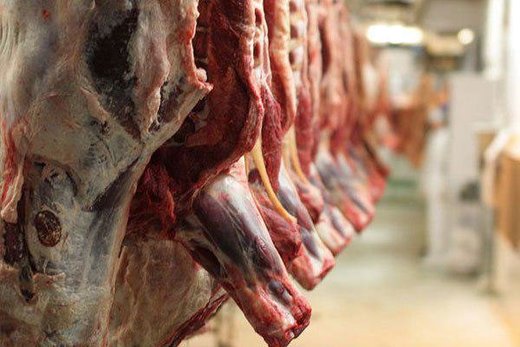 نرخ گوشت در روزهای آینده پایین میآید؟ نرخ گوشت در روزهای آینده پایین میآید؟