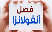 غذاهای غنی از زینک برای کوتاه کردن دوره آنفلوآنزا