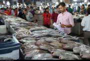 وضعیت بازار ماهی در آستانه عید