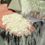 شایعه مخلوط کردن برنج ایرانی با خارجی حقیقت دارد؟