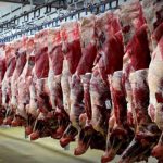 چرا باید گوشت قربانی ۲۴ساعت در یخچال نگهداری شود؟