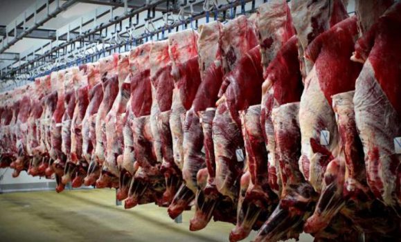 چرا باید گوشت قربانی ۲۴ساعت در یخچال نگهداری شود؟ چرا باید گوشت قربانی ۲۴ساعت در یخچال نگهداری شود؟