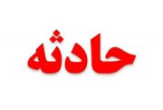 کشتن پدر به قیمت شکار گراز!