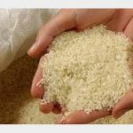 توزیع گسترده برنج، روغن و تخم‏‏‎مرغ با قیمت مصوب
