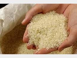 توزیع گسترده برنج، روغن و تخممرغ با قیمت مصوب توزیع گسترده برنج، روغن و تخممرغ با قیمت مصوب