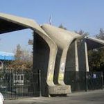 دانشگاه در تابستان تعطیل نیست/ترم تابستانی نداریم