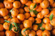 جریان نارنگی کرم‌دار چه بود؟