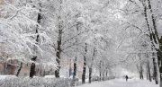 بارش برف در تهران از دوشنبه/کاهش ۱۵ درجه‌ای هوا
