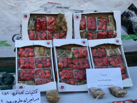 کشف تریاکفرنگی در ترهبار کشف تریاکفرنگی در ترهبار