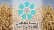 تسهیلات بانک توسعه تعاون با سهولت بیشتر به کشاورزان اعطا می‌گردد