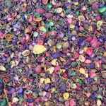 اسپند داروی لاغری