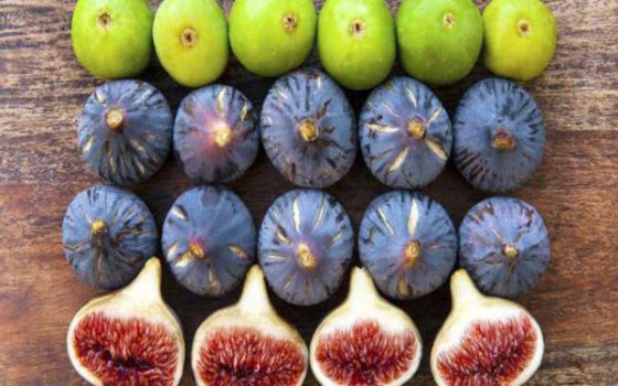 کدام خوردنی ها هورمون عشق را زیاد می کند؟ کدام خوردنی ها هورمون عشق را زیاد می کند؟