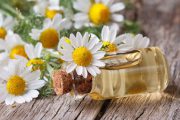 خواص بی نظیر بابونه